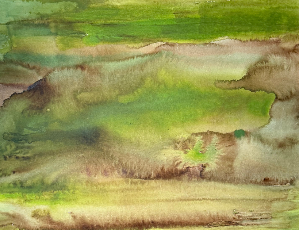 Irma Broeke - I Motion Art